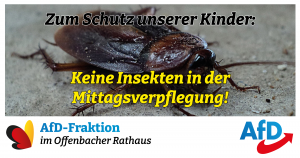 Read more about the article <strong>Keine Insekten im Mittagessen unserer Kinder!</strong>