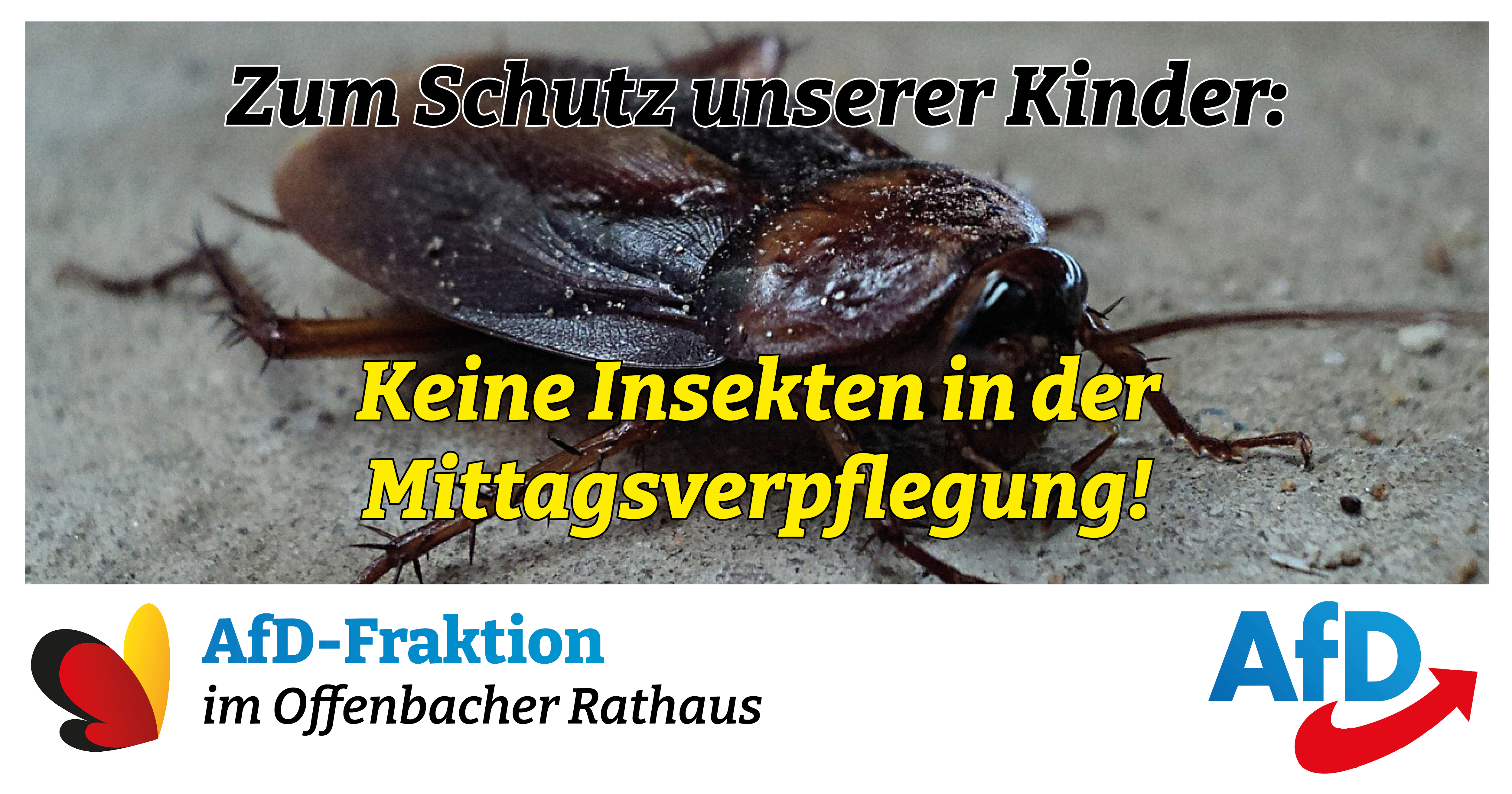 Read more about the article <strong>Keine Insekten im Mittagessen unserer Kinder!</strong>